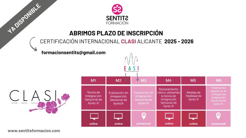 Imagen del curso FORMACIÓN AVANZADA EN INTEGRACIÓN SENSORIAL DE AYRES