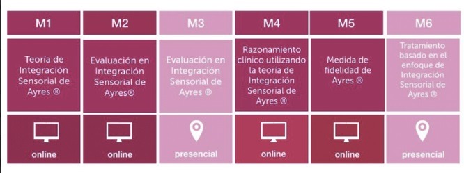 Imagen del curso PROGRAMA DE CERTIFICACIÓN INTERNACIONAL AVALADO POR ICEASI
