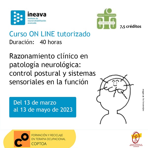 Imagen del curso Razonamiento clínico en patología neurológica: control postural y sistemas sensoriales en la función de la extremidad superior. ON LINE TUTORIZADO